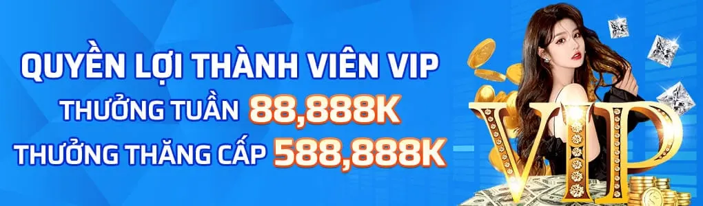 Quyền lợi của Thành viên Vip